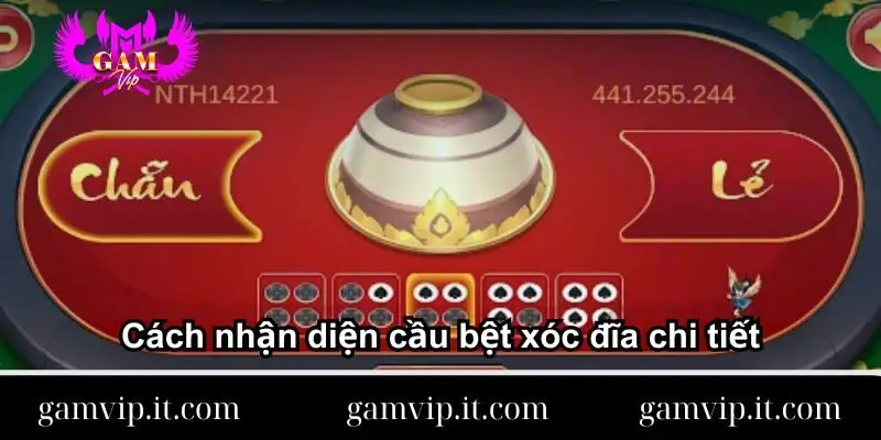 cach-nhan-dien-cau-bet-xoc-dia-chi-tiet