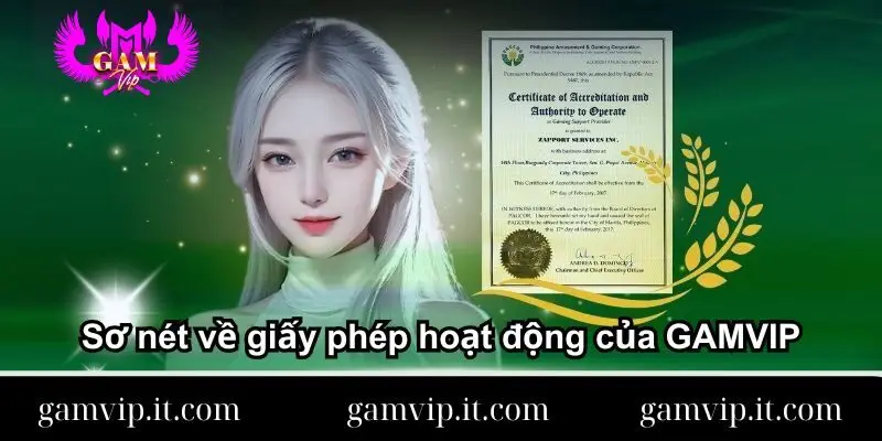 so-net-ve-giay-phep-hoat-dong-cua-gamvip