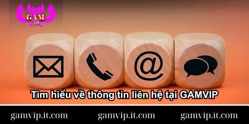 tim-hieu-ve-thong-tin-lien-he-tai-gamvip