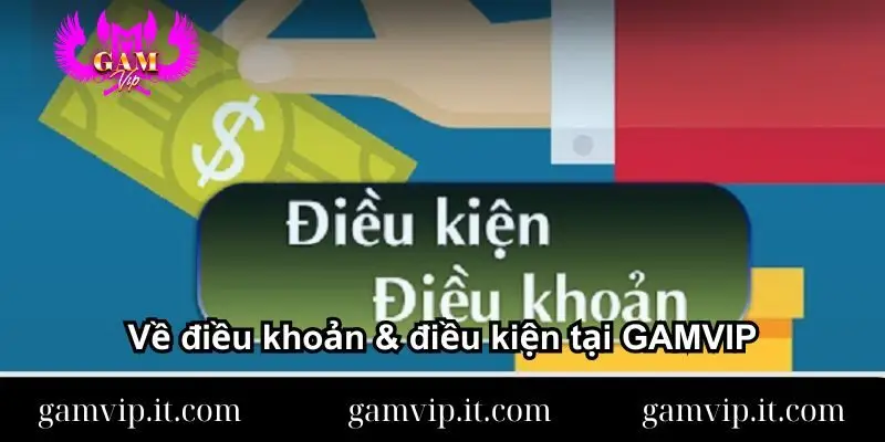 ve-dieu-khoan-dieu-kien-tai-gamvip